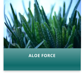 ALOE FORCE